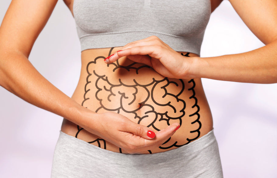 Nurturing from Within: Unlocking the Secrets of Gut Health