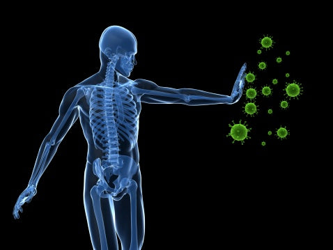 Building a Strong Immune System: Your Guide to Optimal Health