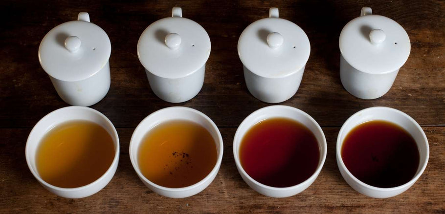 The Art of Tea Tasting: A Journey into Flavor and Aroma